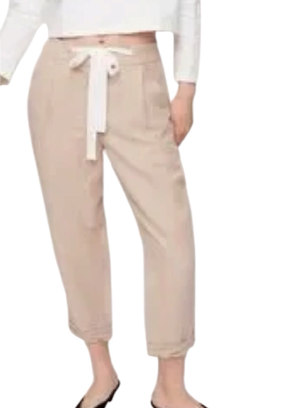 Aritzia Wilfred Allant linen blend pants